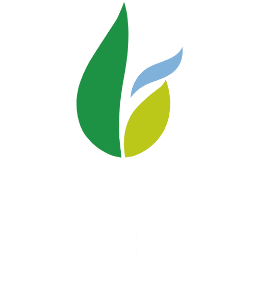 HOTEL Grand Vert GIZAN