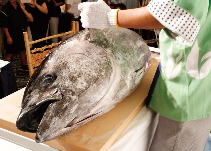 マグロ解体ショー